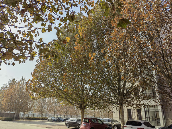 端午节的起源